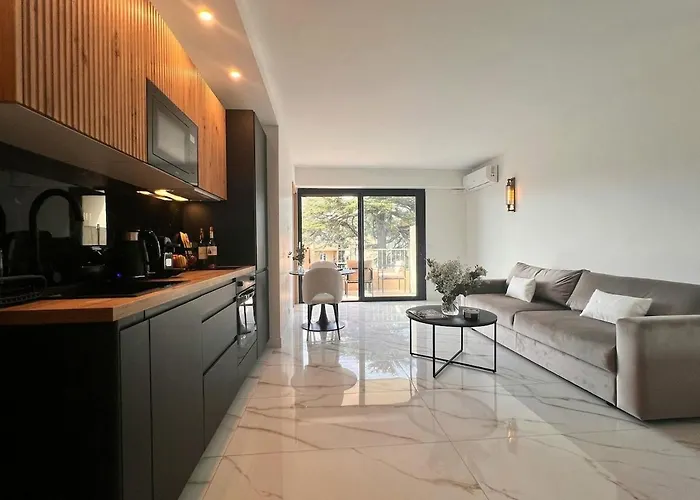 Luxury With Terrace And Side Sea View Cannes